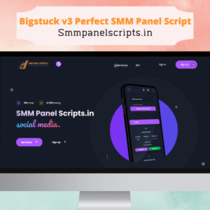 Bigstuck v3 Perfect SMM Panel Script